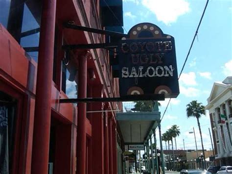 coyote ugly tampa photos|original coyote ugly bar location.